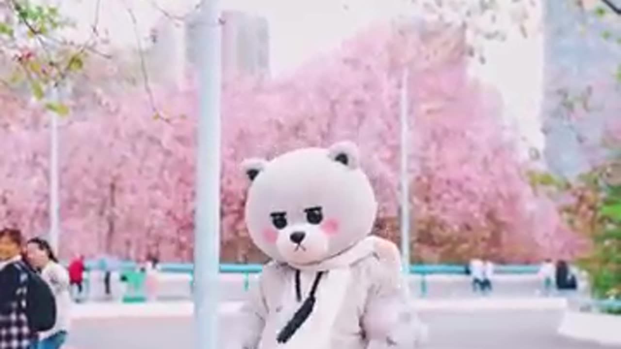 Dancing bear