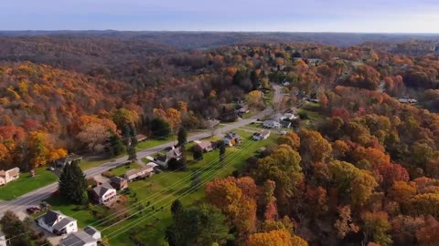 Enchanting Autumn Forests with Beautiful Piano Music