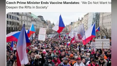 Sit Back and Enjoy The Show- Domino