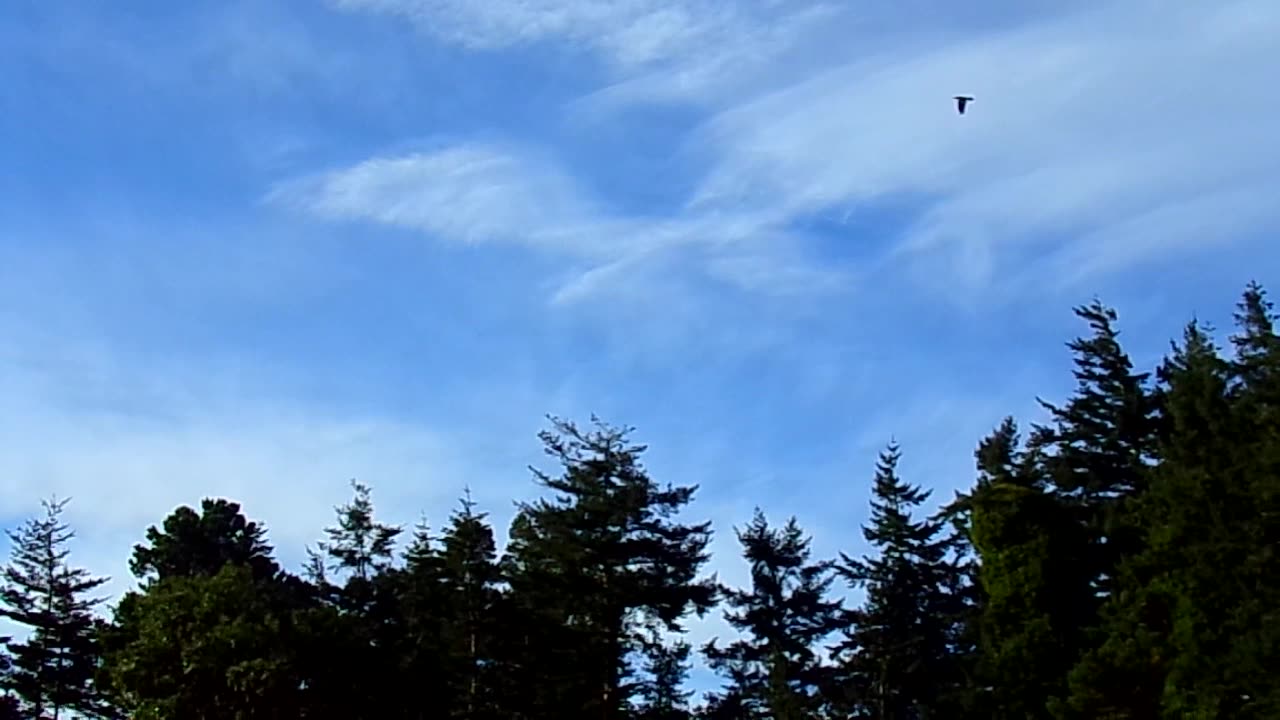 GEO-Engineering-Chemtrails 2/12/24: