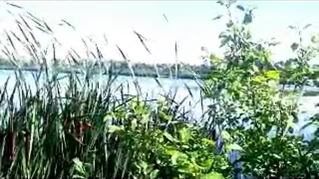 LEN AMSTERDAM RADIO