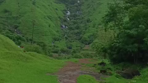 A veiw of Adai waterdmfall