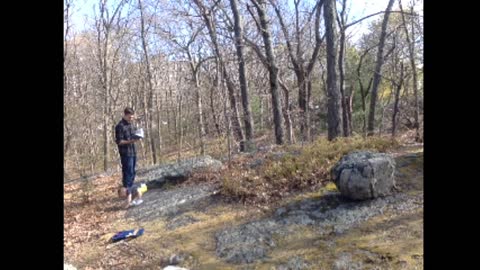 April 2022 Woods Time