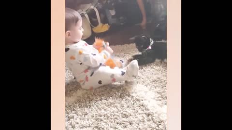 Baby, play with the cat