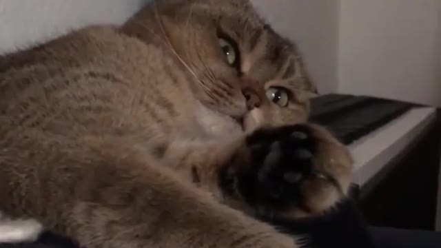 March 2020: Louis, being an only child, minding his own business