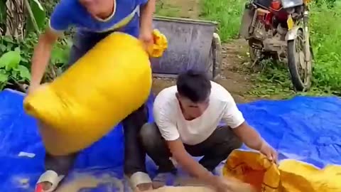 Funny video