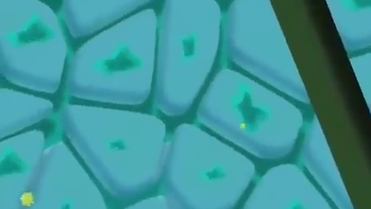 식물 기반 백신, 수경재배 양액 조심.