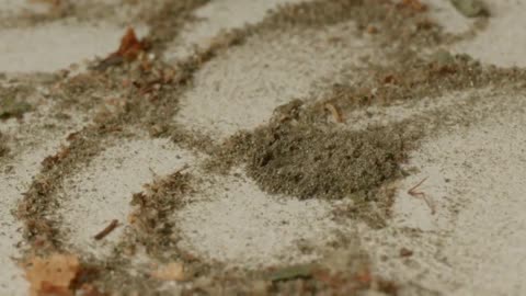 Smart Dust