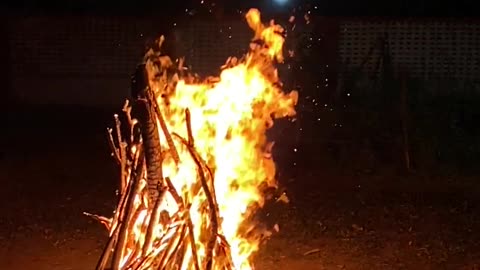 Holi Dahen special video #trending