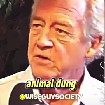 The Green new deal is a plan for mass suicide of humans on this earth 🤯☠️⚠️🤮❌