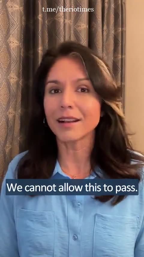 Tulsi Gabbard explains why the ban on TikTok and its legal foundation is red hot