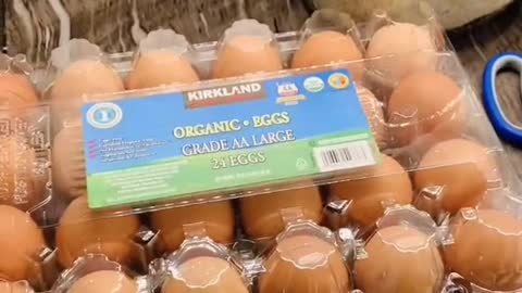 ❤️ Egg for the Day