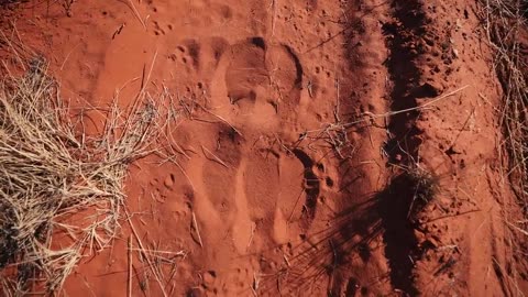 Truck Camping in the Australian Outback