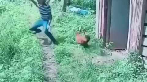 Funny videos