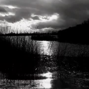 Sanvean,I am your shadow 🙏 #shadow #worker #lisagerard #rumble