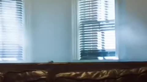 Ted's over-the-top Reaction