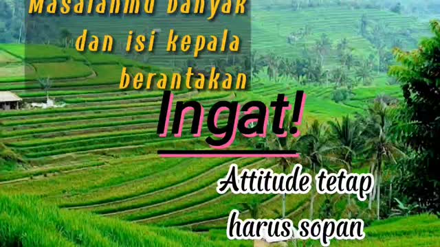 Attitude tetap harus sopan