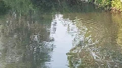 La bellezza della natura è indescrivibile