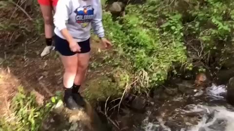 The end 😂😂😂 #funny #fails #shorts #viral #idiotsfolder