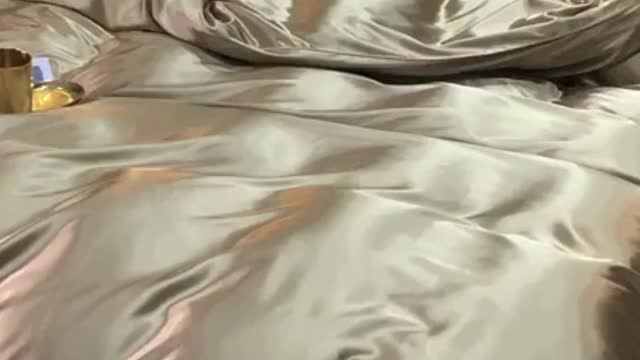 Codi Ziggy Pink / Rose Gold Comforter Set