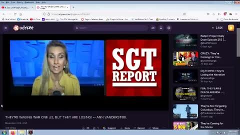 ANN VANDERSTEEL AND SGT REPORT ARE CONTROLLED OPPOSITION