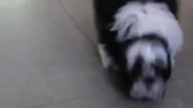 Whenever I try to leave the house