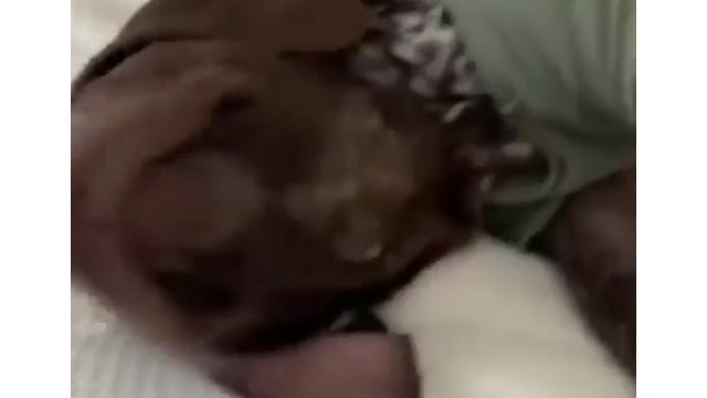 Taxes are essentially just a yearly subscription to living in America. Childhood was the free trial.