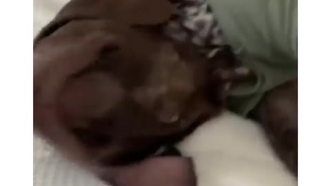 Taxes are essentially just a yearly subscription to living in America. Childhood was the free trial.