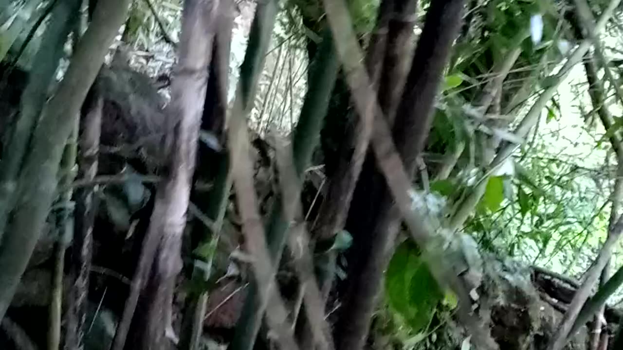 Cerca de pedras