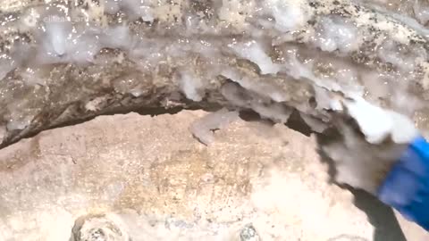 Deep Cleaning Embedded Dirt From Cloisters _ Deep Cleaned _ Insider