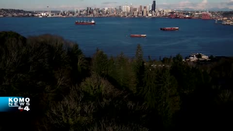 Seattle is Dying | A KOMO News Documentary, the Answer is Simple?
