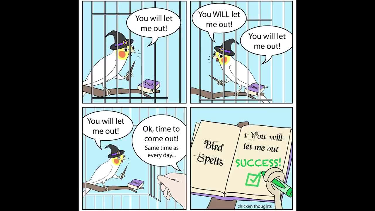 Comics With A Parrot Twist