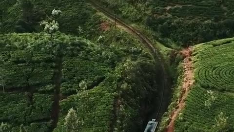 Come to sri lanka