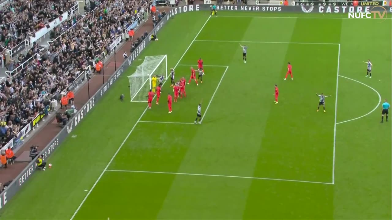 Newcastle United 4 Brighton and Hove Albion 1 | EXTENDED Premier League Highlights