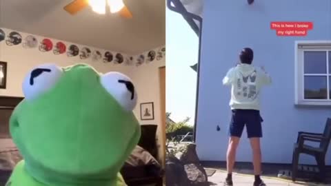 Kermit on tiktok funniest video of kermit