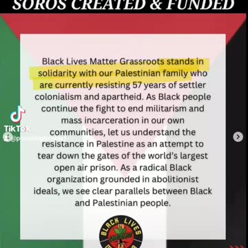 BLM IS NOT GRASSROOTS