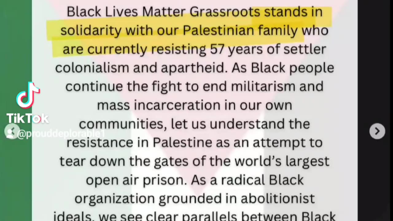 BLM IS NOT GRASSROOTS