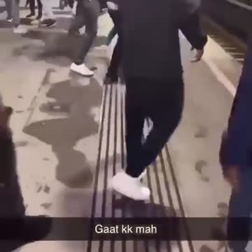 Feral gang of imports, Inc a very small child...