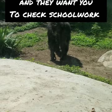 They never let you finish