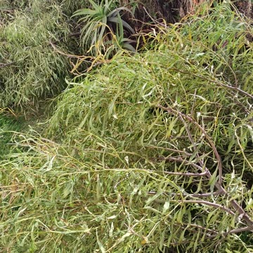 Back to work! HAND INJURY RECOVERY