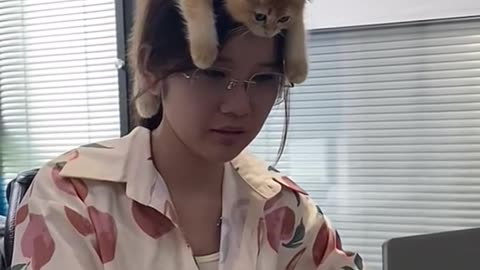 Beautiful cat 🐈 on the girl head