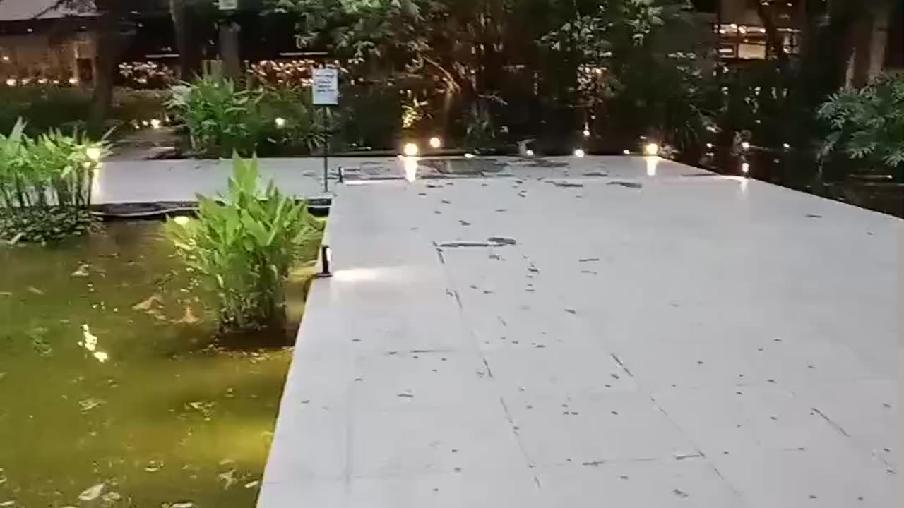 Park