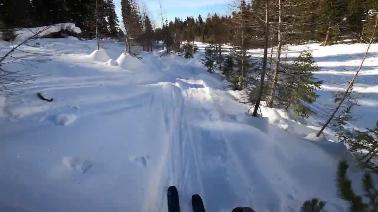 Brundage _ Sensation Glades (Flashback 2022)