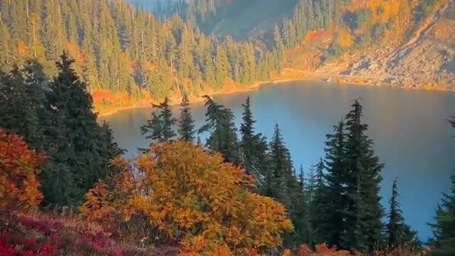 Those red autumn tones in the alpine