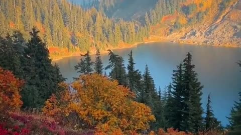 Those red autumn tones in the alpine