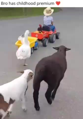 If Only Children Were Taught This Rather Than What Govt Indoctrination Centers Teach