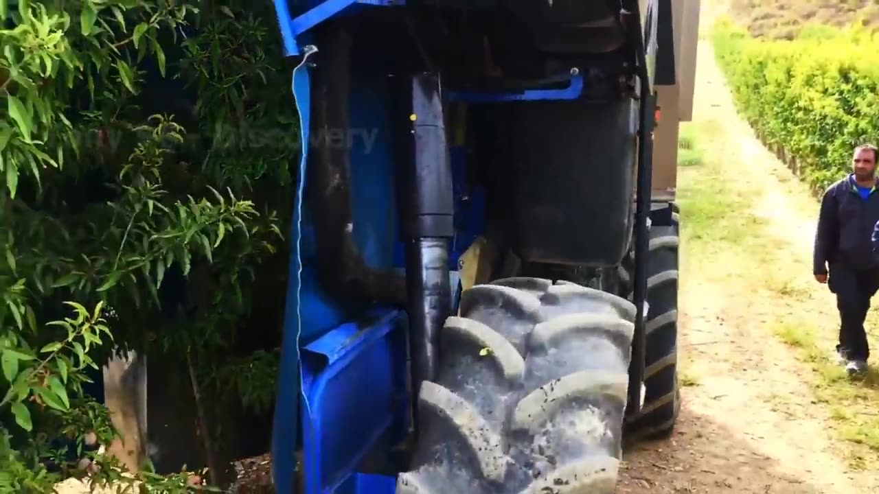 Billion Pounds Of Almonds Harvested This Way In California