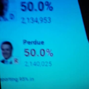 INTERNATIONAL WIDE ELECTION FRAUD VOTING MACHINE CRIME, GEORGIA RUNOFF SHAM ELECTION CRIME 144