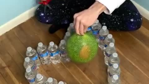 Best TikTok Life Hacks Compilation