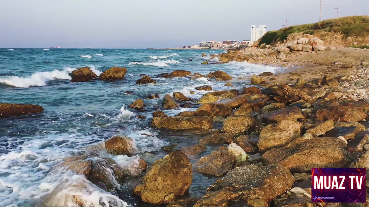 DRONE SEA VIEW